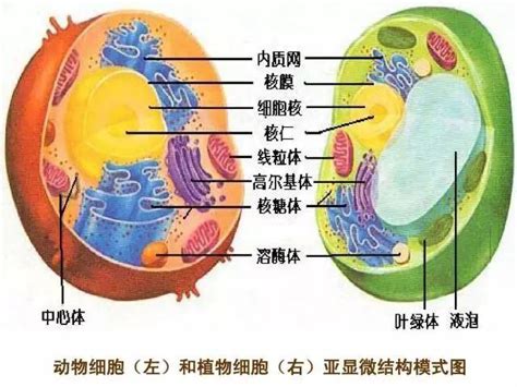 高考失利是什么意思,高考失利选择什么职业院校