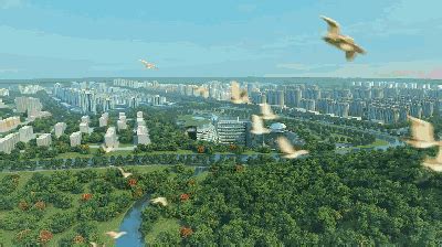 河北区八马路旁什么河,40万株绿植美化八马路