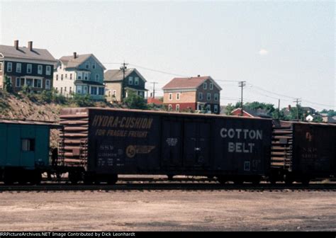 SSSWWW,《美女ssswww免费观看