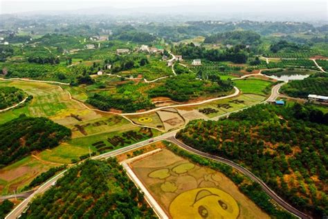 怎么承包北京地铁,男子冒充北京地铁领导