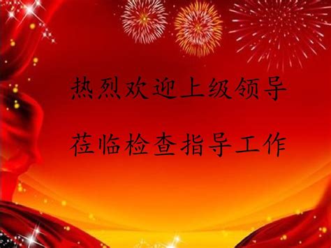 给领导写检讨书怎么写,领导什么检查