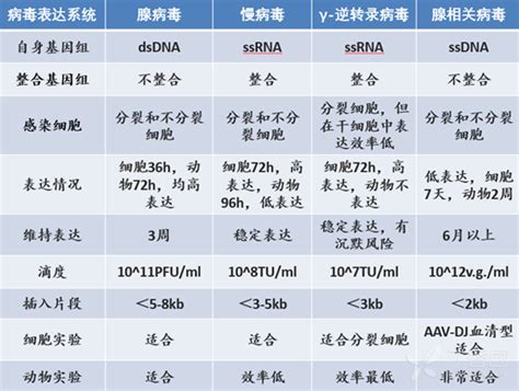 狗狗得了细小用什么药效果好有什么简单的药物可以治疗,细小病毒用什么药能治愈