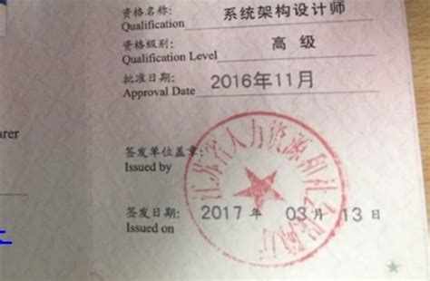 它主要考什么啊,软考考什么