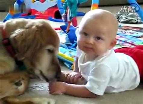 养只泰迪每月需要花费多少钱小泰迪犬大概多少钱一只,泰迪两个月多少钱一只