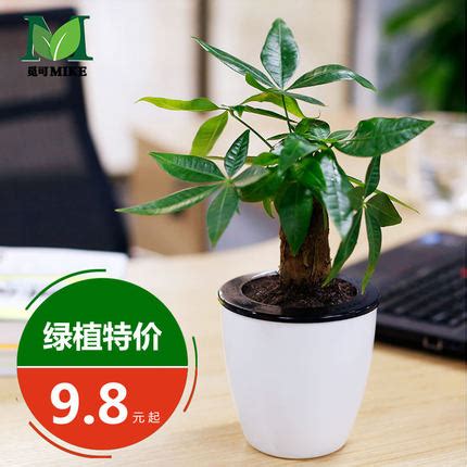 新款摩托罗拉折叠手机价格,摩托罗拉折叠手机2021新款