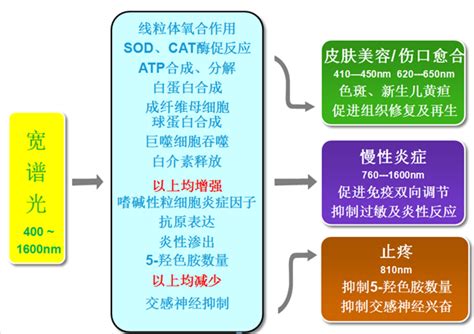 威伐光治疗仪怎么用,抗压疮这里有新招