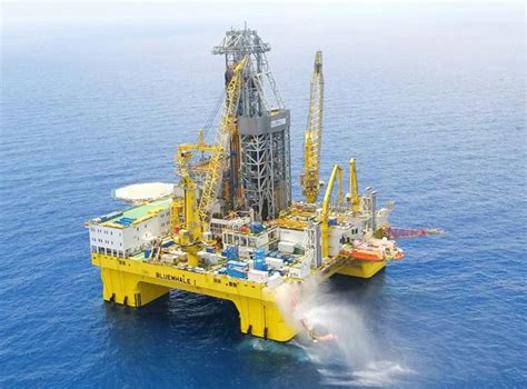 微鲸f1与k1plus买哪个,微鲸电视怎么样