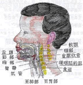 如何用气息唱歌,什么是用气息唱歌