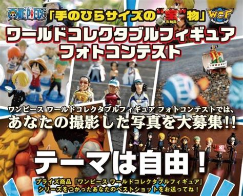 热血海贼王背包满了怎么办,「独家」海贼王生命卡翻译