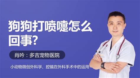 小狗总是打嗝怎么回事,狗狗经常打嗝放屁