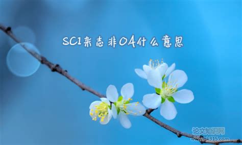 俄罗斯期刊发表文章,什么期刊发表文章快