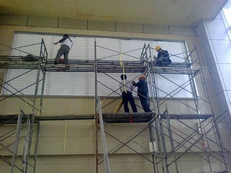 如何挑选拉布拉多拉布拉多什么颜色好,拉布拉多都有什么颜色的