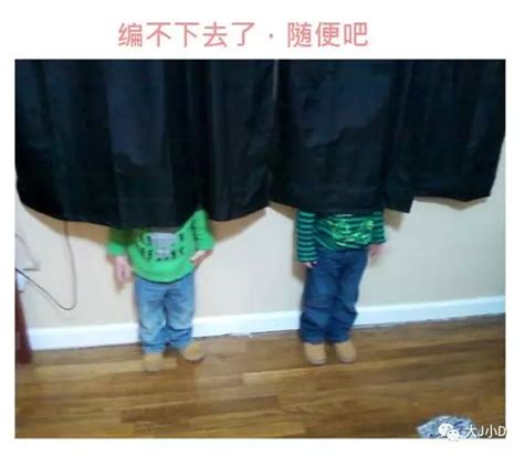 狗狗不让抱怎么办,我捡了两只小奶狗抱回家