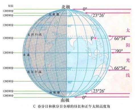 夏天晒太阳应该注意什么,狗为什么夏天晒太阳