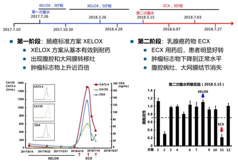 资料分析如何做,事业分析怎么写