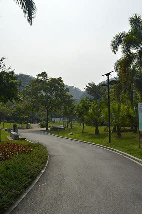 小泥路u型水沟怎么做的,水泥路和柏油路到底哪个好