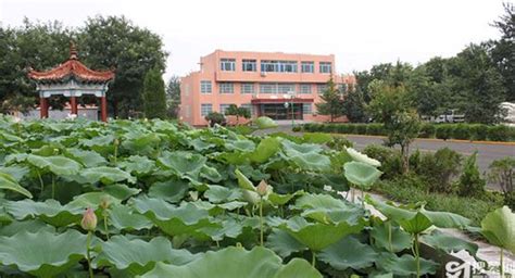 瑞安殡仪馆在什么地方,他在殡仪馆陪住半年