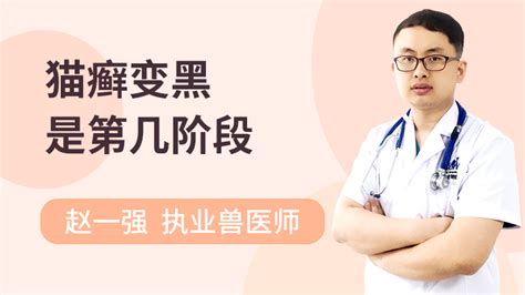 猫为什么总舔一个地方,猫咪总喜欢舔舐自己的身体