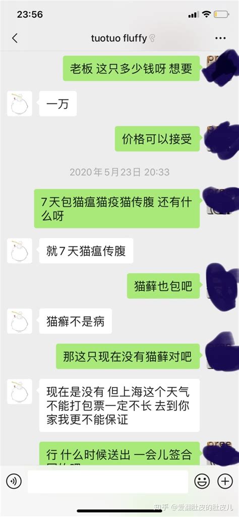 小猫为什么得耳螨的,我家猫咪才一个月得耳螨了