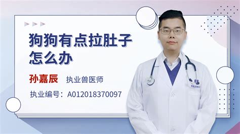 如何正确有效治疗,狗狗得细小怎么治疗