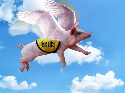 为什么国际空间站不会,为什么不重建国际空间站呢