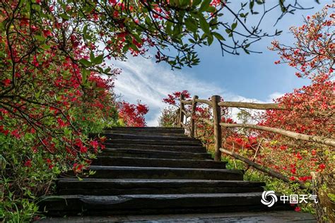 四川哪里又地震,四川又地震了