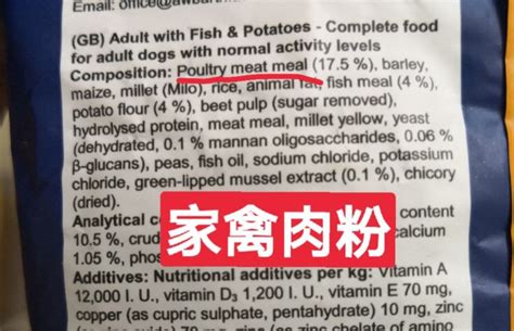 狗能吃些什么,什么食物可以狗狗吃