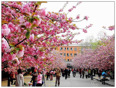 哈尔滨有什么大学,想上哈尔滨上大学