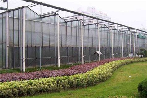 拱棚怎么上棉被,双膜双结构大拱棚