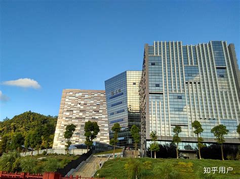 女生大学学什么专科好就业前景好,请问学什么专业就业前景好