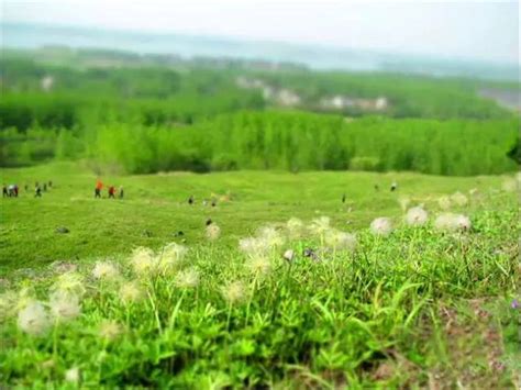 平地水库在哪里,一大拨舟山本地水果排队来袭