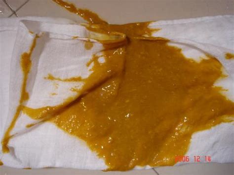 十余车粪便偷倒小月河,粪便消纳站怎么收粪便