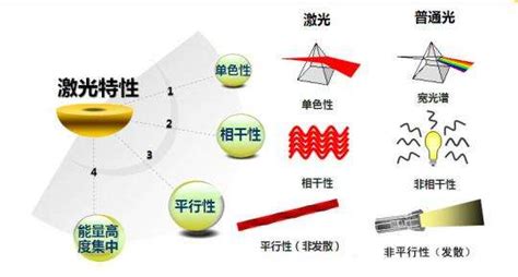 如何训练猫咪玩激光笔猫为什么会追激光,激光笔 猫 为什么