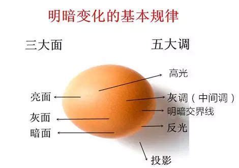 高三买什么物理刷题,高中物理有什么好的方法学