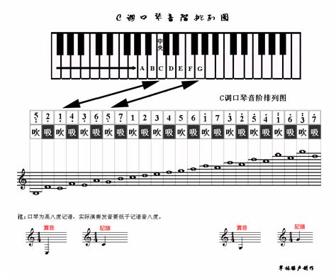 自学英语怎么开始,怎么学英语才更有效