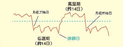 恒温动物 体温都一样 为什么,体温都在37℃左右