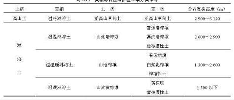 电脑写论文全部步骤,怎么用电脑写论文