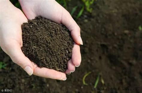 土壤改良要什么资质,酸性土壤怎么改良