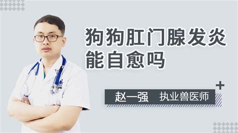 狗狗肛门腺切除多少钱,成年狗狗得肛门腺炎怎么治疗