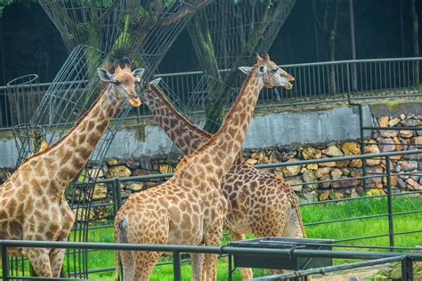 快乐的旅游作文15篇 愉快的旅行