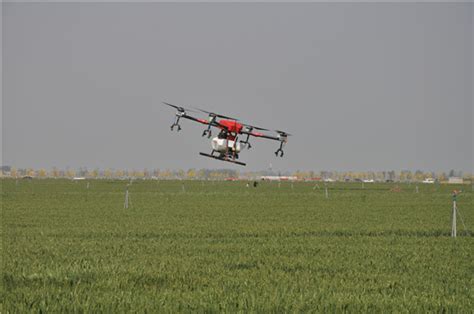田东县供水公司怎么样,广西田东易地搬迁谱写幸福故事