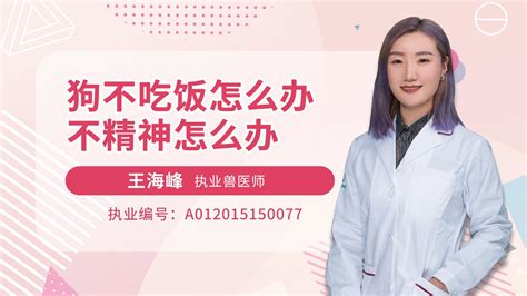 狗狗掉毛厉害用什么药,为什么狗狗掉毛厉害