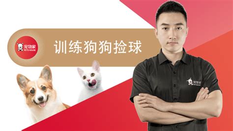 给泰迪喝什么水,泰迪犬吃这些食物