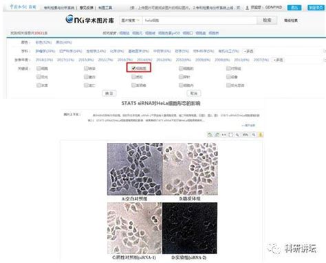 网络文学期刊怎么样,搜文期刊怎么样