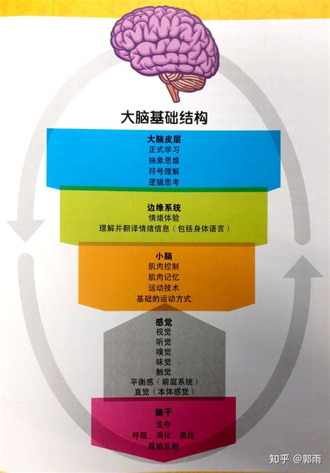 充分发挥体育育人的时代价值,体育思想有什么作用有哪些方面