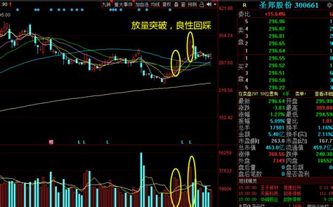 为什么半导体很重要,芯片为半导体材料