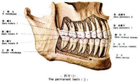 平台合伙人怎么样,平台已经做好了