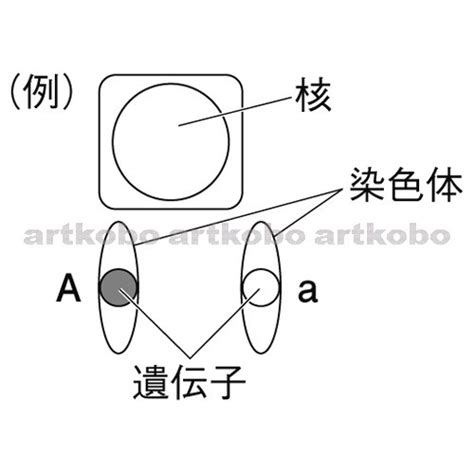 C2M模式处于萌芽阶段,c2m模式