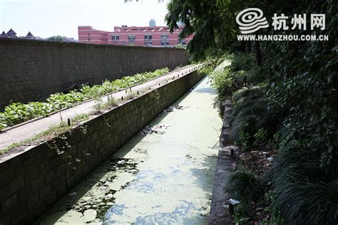 邓州修水渠什么工程,让邓州群众都能喝上丹江水