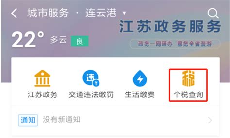 个人如何缴税记录查询,上海个人缴税记录查询